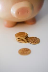 Bild vergrößern: Symbolisch Sparschwein und Geld
