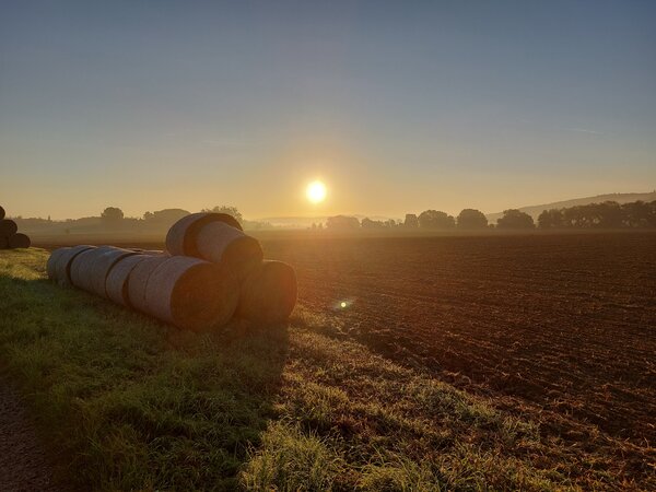 Bild vergr&ouml;&szlig;ern: Heuernte im Sonnenuntergang